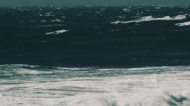 Красива Чилійська Берегова Лінія Природа — стокове відео