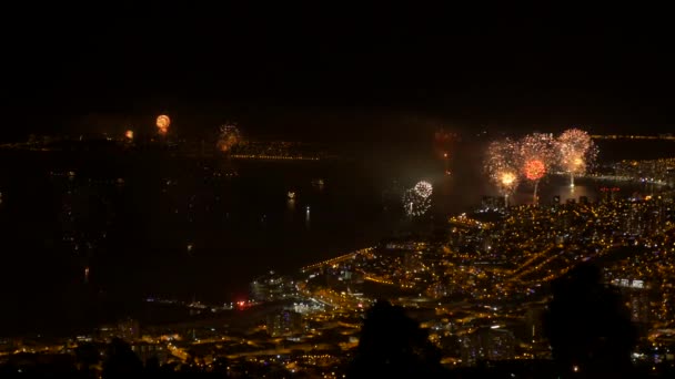 南アメリカ最大の花火ヴァルパライソの夜空に巨大な花火 — ストック動画