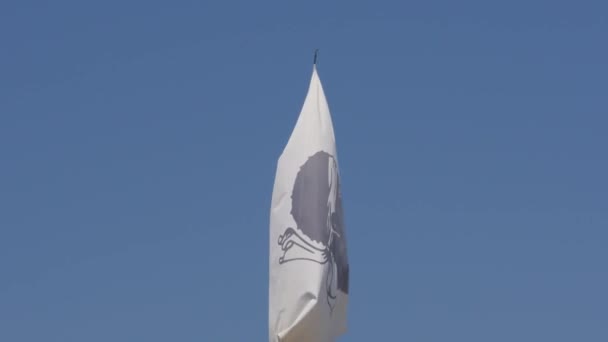 Korsika Flagg Emblem Frankrike — Stockvideo