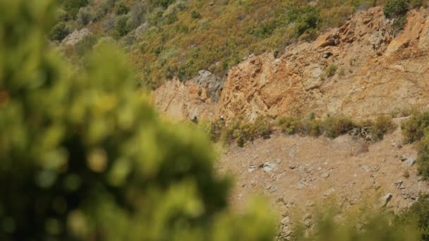 Cyklister Husbil Och Husvagnar Korsika — Stockvideo