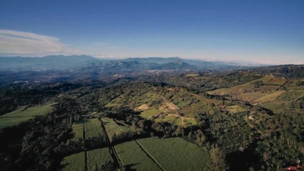 Parque Nacional Juan Castro Blanco Widok Kostarykę — Wideo stockowe