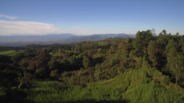Parque Nacional Juan Castro Blanco Costa Rica Uitzicht — Stockvideo