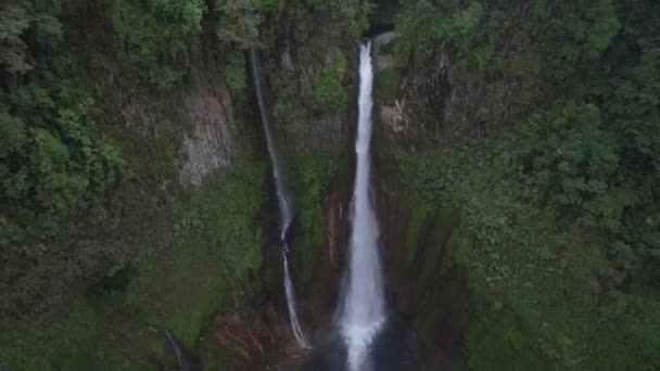 Catarata Del Toro Cascada Costa Rica — Vídeo de stock