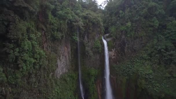 Catarata Del Toro Waterfall Costa Rica — 图库视频影像