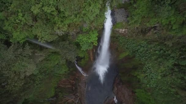Catarata Del Toro Waterfall Costa Rica — Stock Video