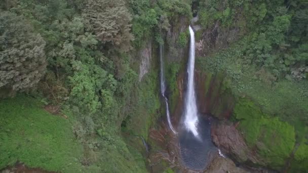 Catarata Del Toro Wasserfall Costa Rica — Stockvideo