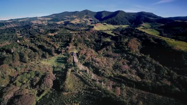 卡斯特罗 布兰科国家公园 哥斯达黎加观点 — 图库视频影像