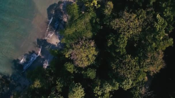 Playa Manzanillo Κόστα Ρίκα Όμορφη Θέα — Αρχείο Βίντεο