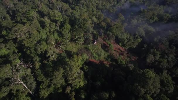 Yağmur Ormanlarının Hava Videosu Yedek Golfo Dulce Kosta Rika — Stok video
