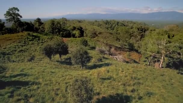 Filmik Lotu Ptaka Forestal Golfo Dulce Reserve Kostaryka — Wideo stockowe