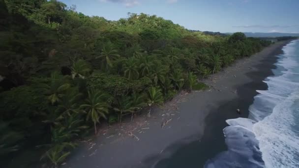 Playa Carate Коста Рика Красивий Вид — стокове відео