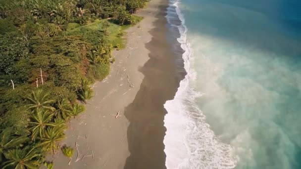 哥斯达黎加Playa Carate美丽的风景 — 图库视频影像