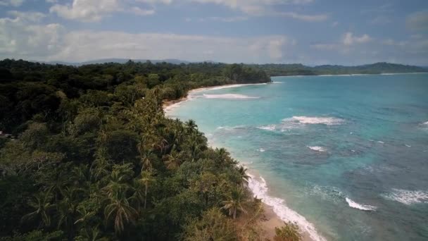 Aerial Drone View Punta Uva Cahuita Costa Rica — Stok video