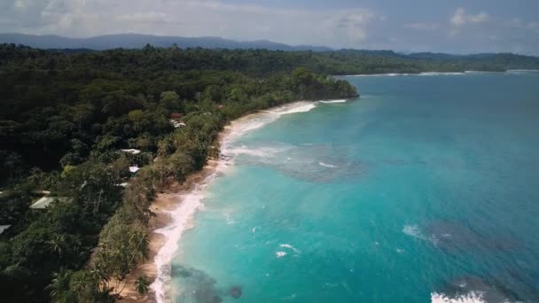 Aerial Drone View Punta Uva Cahuita Costa Rica — Wideo stockowe