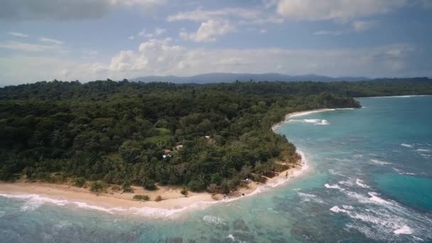 Aerial Drone View Punta Uva Cahuita Costa Rica — Video Stock