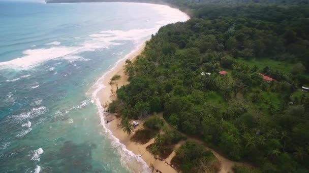 Aerial Drone View Punta Uva Cahuita Costa Rica — Stockvideo