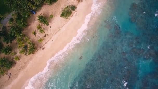 Aerial Drone View Punta Uva Cahuita Costa Rica — Video