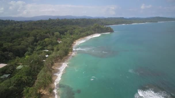 Aerial Drone View Punta Uva Cahuita Costa Rica — Stockvideo