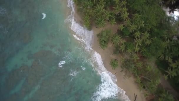 Aerial Drone View Punta Uva Cahuita Costa Rica — Wideo stockowe