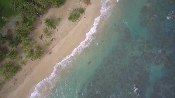 Aerial Drone View Punta Uva Cahuita Costa Rica — стокове відео