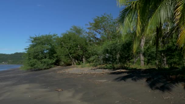 Playa Iguanita Costa Rica Beautiful View — Stock Video