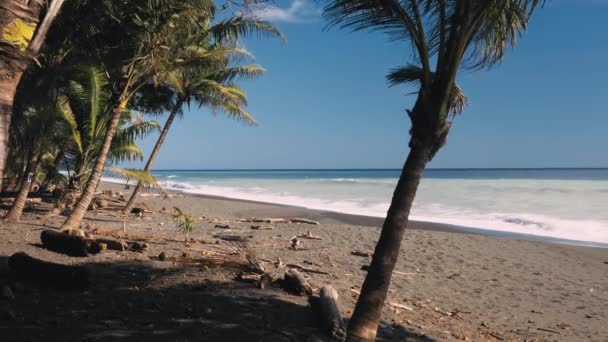 Playa Carate Kostarika Krásný Výhled — Stock video