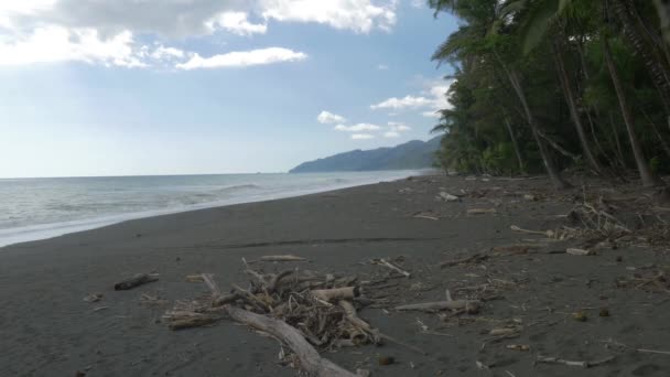 Playa Carate Costa Rica Schöne Aussicht — Stockvideo