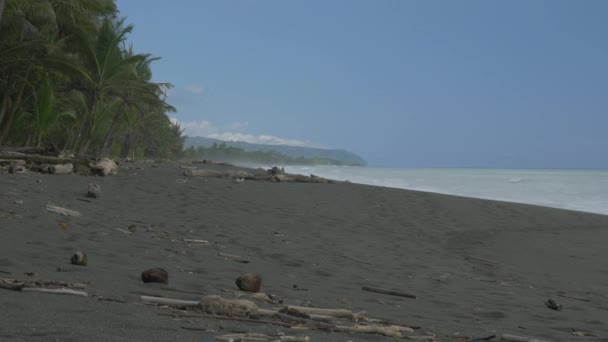 Playa Carate Kostarika Krásný Výhled — Stock video