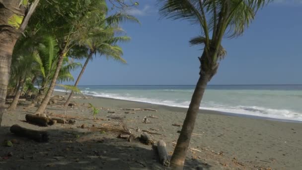 哥斯达黎加Playa Carate美丽的风景 — 图库视频影像