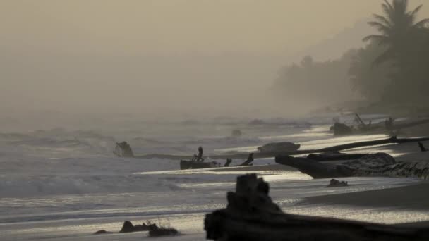 Belle Plage Costa Rica Playa Punta Uva — Video