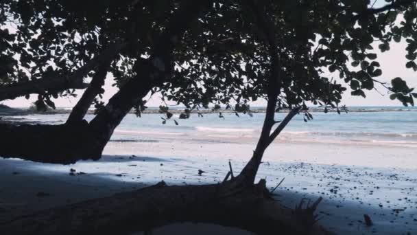 Playa Manzanillo Costa Rica Belle Vue — Video