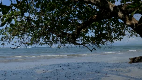 Playa Manzanillo Kosta Rika Pemandangan Indah — Stok Video