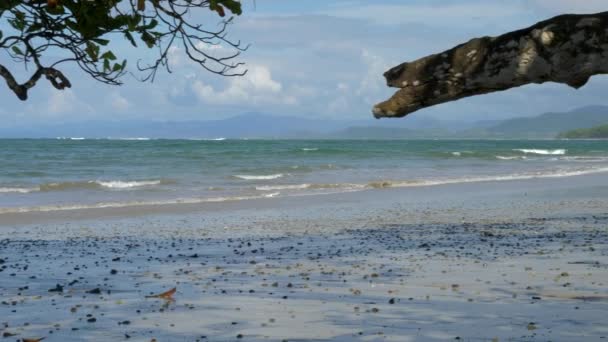 Playa Manzanillo Costa Rica Belle Vue — Video