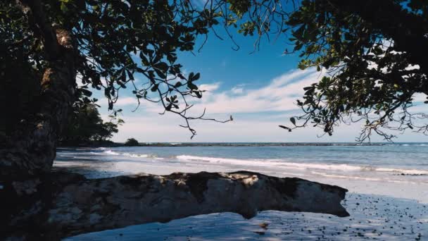 Playa Manzanillo Kostaryka Piękny Widok — Wideo stockowe