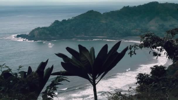 Beautiful View Tropical Beach Costa Rica — стокове відео