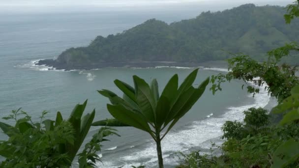 Beautiful View Tropical Beach Costa Rica — Stock Video