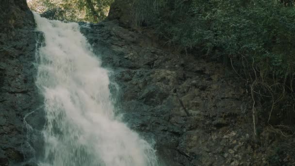 Şelale Cascada Montezuma Kosta Rika — Stok video