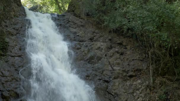 Waterval Cascada Montezuma Costa Rica — Stockvideo