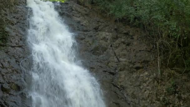 Cascada Cascada Montezuma Costa Rica — Vídeo de stock