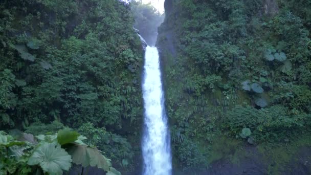 Beautiful View Waterfall Catarata Paz Costa Rica — kuvapankkivideo