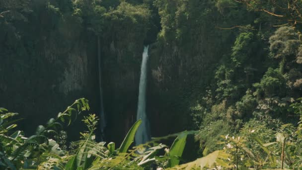 Τεράστιος Καταρράκτης Catarata Del Toro Κόστα Ρίκα — Αρχείο Βίντεο