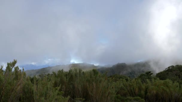 Trapanti国家公园美丽的风景 哥斯达黎加 — 图库视频影像