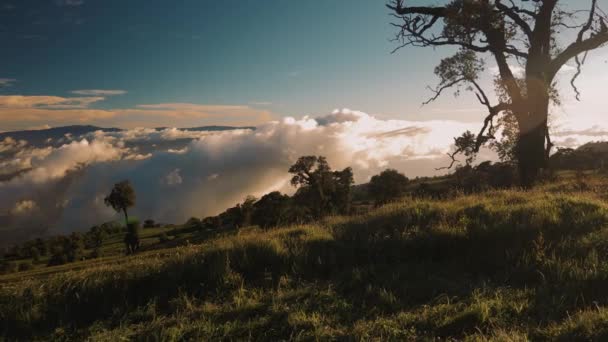 Εθνικό Πάρκο Ηράζου Ηφαίστειο Θέα Κόστα Ρίκα — Αρχείο Βίντεο