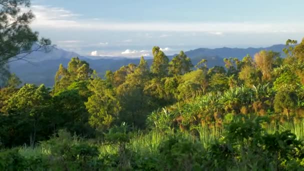 Όμορφη Θέα Της Κόστα Ρίκα Highlands — Αρχείο Βίντεο