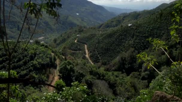 Pemandangan Indah Dari Dataran Tinggi Kosta Rika — Stok Video