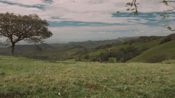 Paysage Autour Tres Amigos Costa Rica — Video