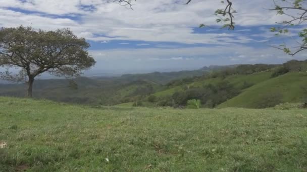 Paysage Autour Tres Amigos Costa Rica — Video
