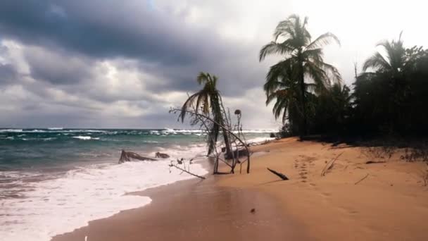 沿着美丽的海滩平稳地走着 哥斯达黎加普塔乌瓦 — 图库视频影像