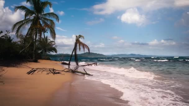 Promenade Douceur Long Une Belle Plage Punta Uva Costa Rica — Video