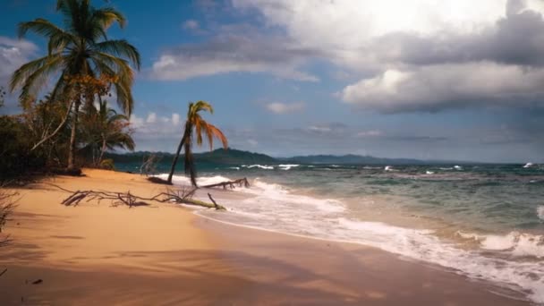 Ομαλή Βόλτα Κατά Μήκος Μιας Όμορφης Παραλίας Punta Uva Κόστα — Αρχείο Βίντεο